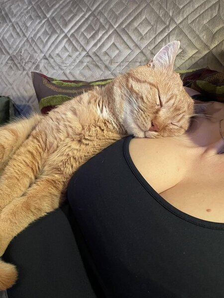 Anita, miniona apetisanta.